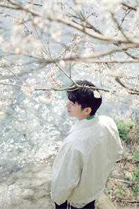 半生相逢皆过客免费