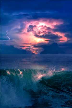 苗疆少年强制爱后，她插翅难飞沈青叙姜纾全文+免费