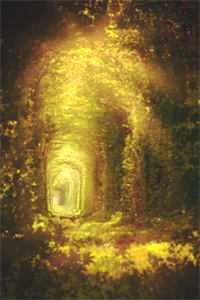 带女儿嫁心上人后，继兄你哭什么全本