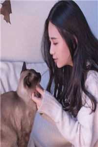 爱烬成灰好书
