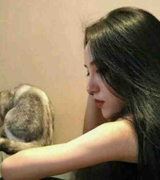 岁岁不相见热门