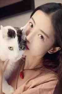 忽遇人间雪满楼完整阅读