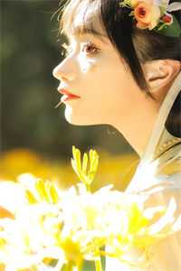 退婚回村种花炸出顶级红三代老公全本小说推荐