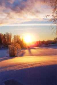 刚重生，豪门总裁就对她强取豪夺？宋宴温念结局+番外