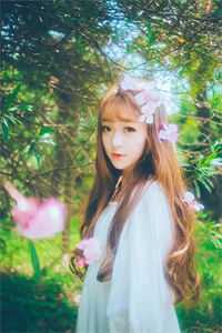 晚风惊扰旧梦全文章节