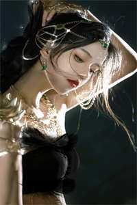 你迟来的半生完本