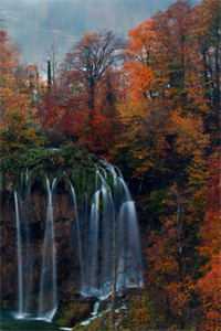 你爱过大海，而我爱过你列表