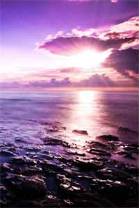 岁岁不归渡无删版