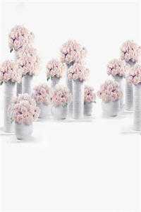 台风末世，我让家人自食恶果小说全文免费