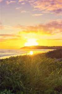 岁岁不相见精选