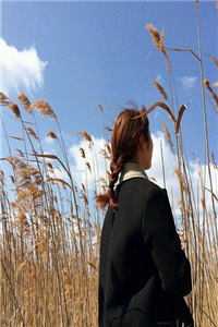 穿成暴躁肥妇，极品儿子们遭殃了阅读