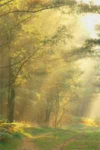 女同事拿加料的酒想让我当众出丑，我反手给她调换酒杯前言+后续