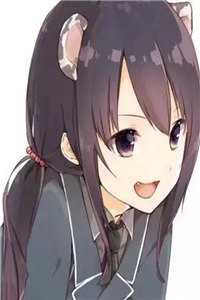 斯人若明月千里畅读