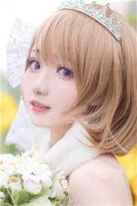 菩萨与野狗短篇小说阅读