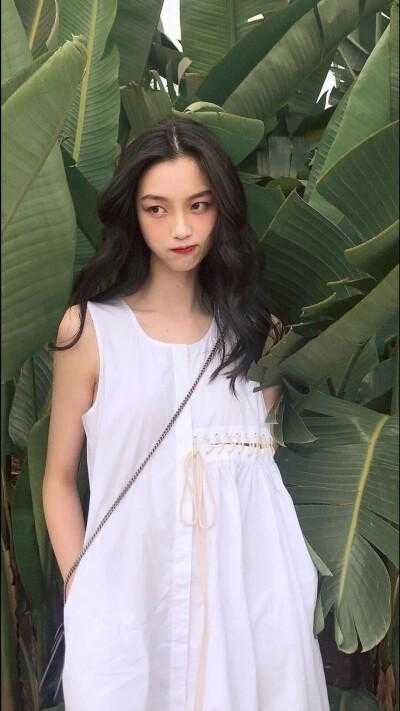 温瓷照星影全本