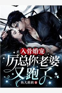 晚风惊扰旧梦阅读