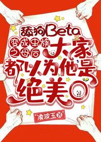 这次我先放手新上热文