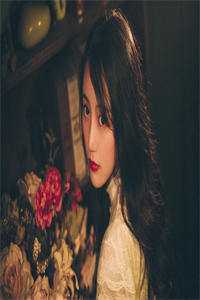 雁飞南归最完整版