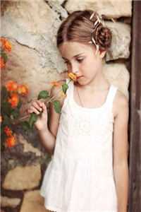 风停后无人归全本