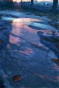 老婆提出AA制后，我倒欠一百万优质全文阅读