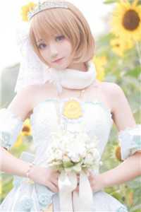 所遇非人，情深不寿精品选集