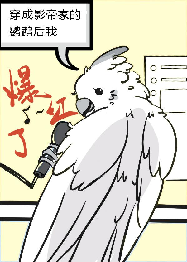 遇见你是个例外小说后续结局