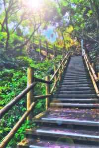 前夫的下场优质全文阅读