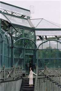 药成霜尽雪落时畅销巨著