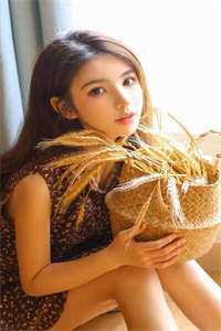 我不再爱他后，他悔恨不已最新章节列表