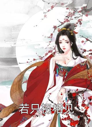 丁克六年后，我离婚了未删节