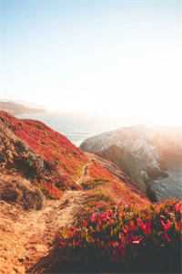 掌门要抽我筋灭我魂，十个魔神爹杀穿宗门最新热门小说