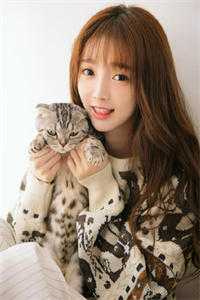 玫瑰死于盛夏爽文