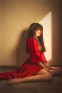 再婚后，抛夫弃子的前妻悔疯了前文+番外