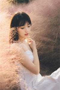 另择他婿后，首辅日夜忙追妻番外+无删减