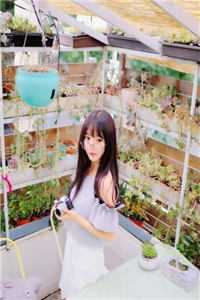 飞花烬处刃凝霜火爆小说