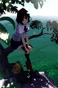 朝来寒露晚来风无删版