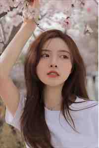 赠你一缕他年月光全章节