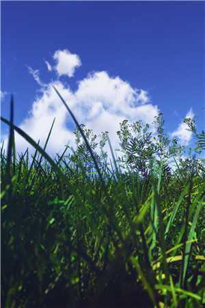 药成霜尽雪落时无删减