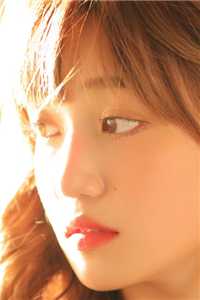 风月寄梦不寄君未删减版