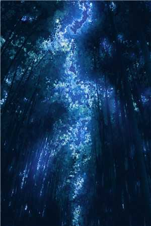 分手后，嫁给了隔壁年代大佬陆怀瑾林晚晴后续+完结