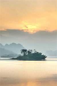 拿千亿离婚费，我带继承人跑路林悠悠顾廷琛全集