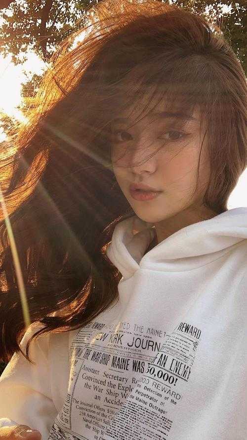 萤火绕过旧梅梢全文阅读最新