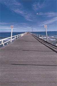 赠你一缕他年月光小说在线阅读免费