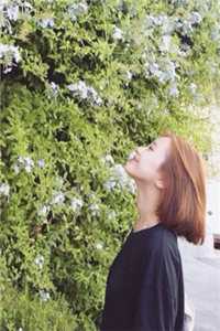 今春思君如旧年完整版