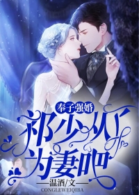 南风渡雪，终别殇的小说