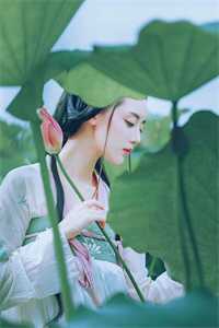 山河无恙，故人长绝免费看