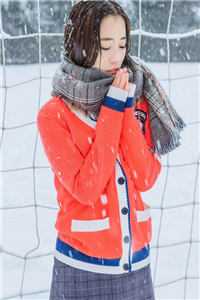 寻踪于已散之风全文