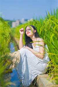 别后青山万里孤抖音热门