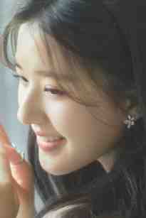 智者不入爱河连载