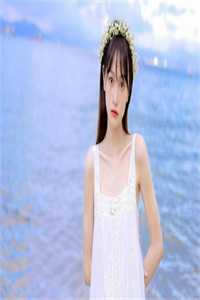 风停后无人归目录